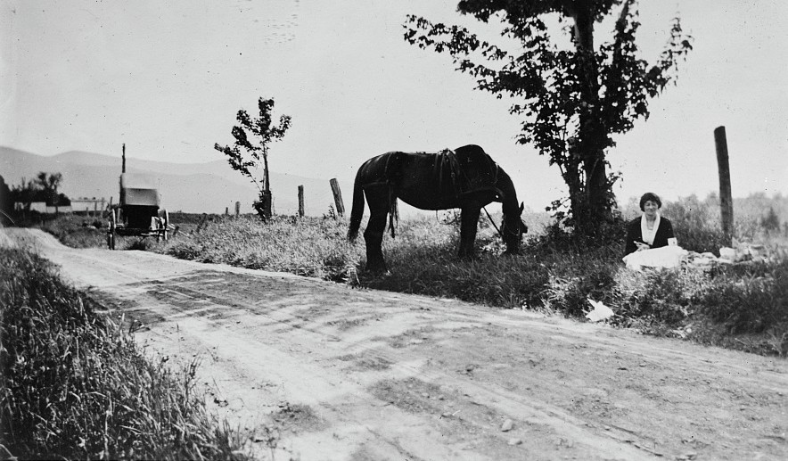 A noonday stop for a picnic dinner on an all day trip visiting rural schools - Library of Congress