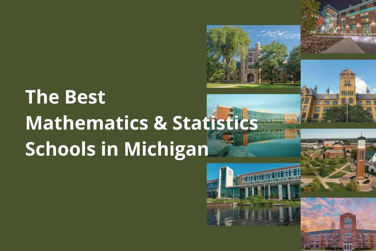 mathematics and statistics schools in michigan