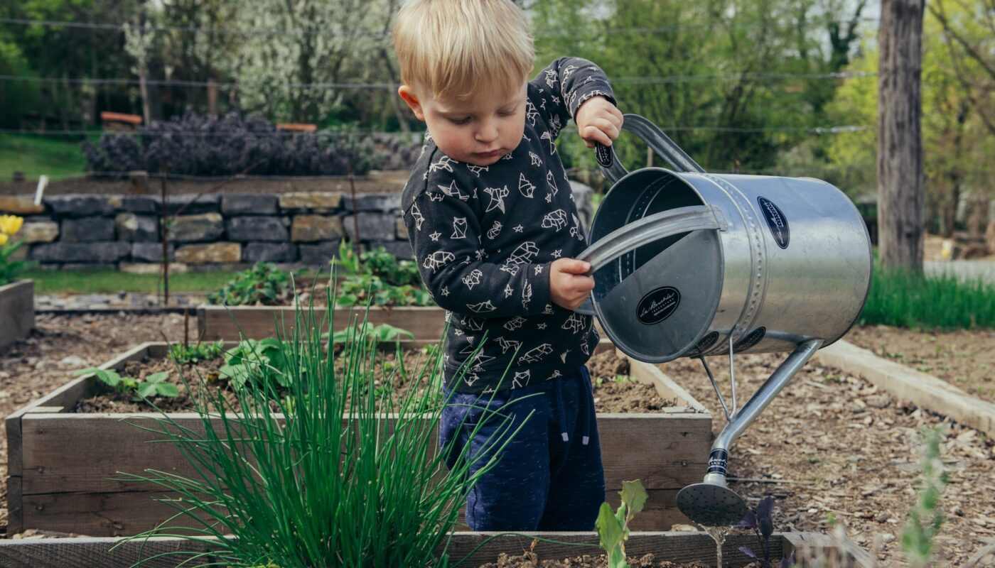 Edible landscaping