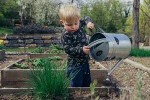 Edible landscaping
