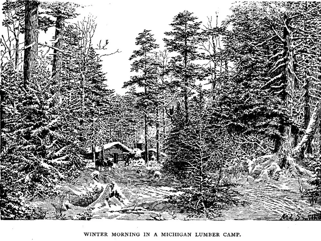 Lumber Camp In Michigan