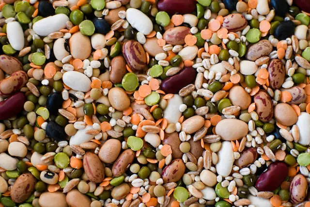 Michigan Beans