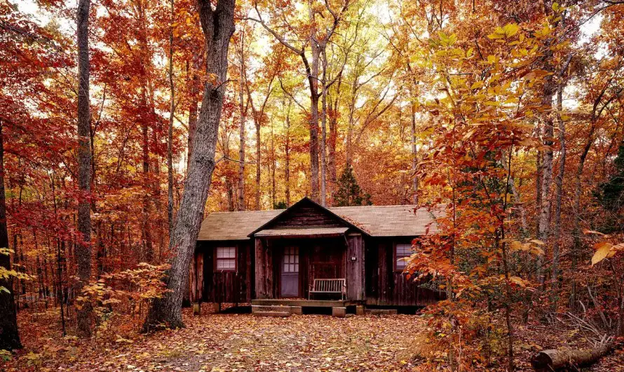8 Tips To Eliminate Black Mold When Opening Up Your Michigan Cabin or Cottage This Summer