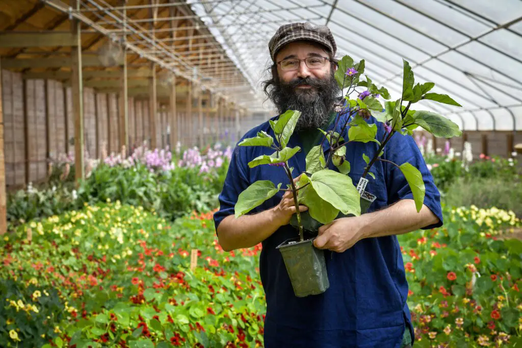 gardening guru Bevin Cohen - vegetable gardening workshop