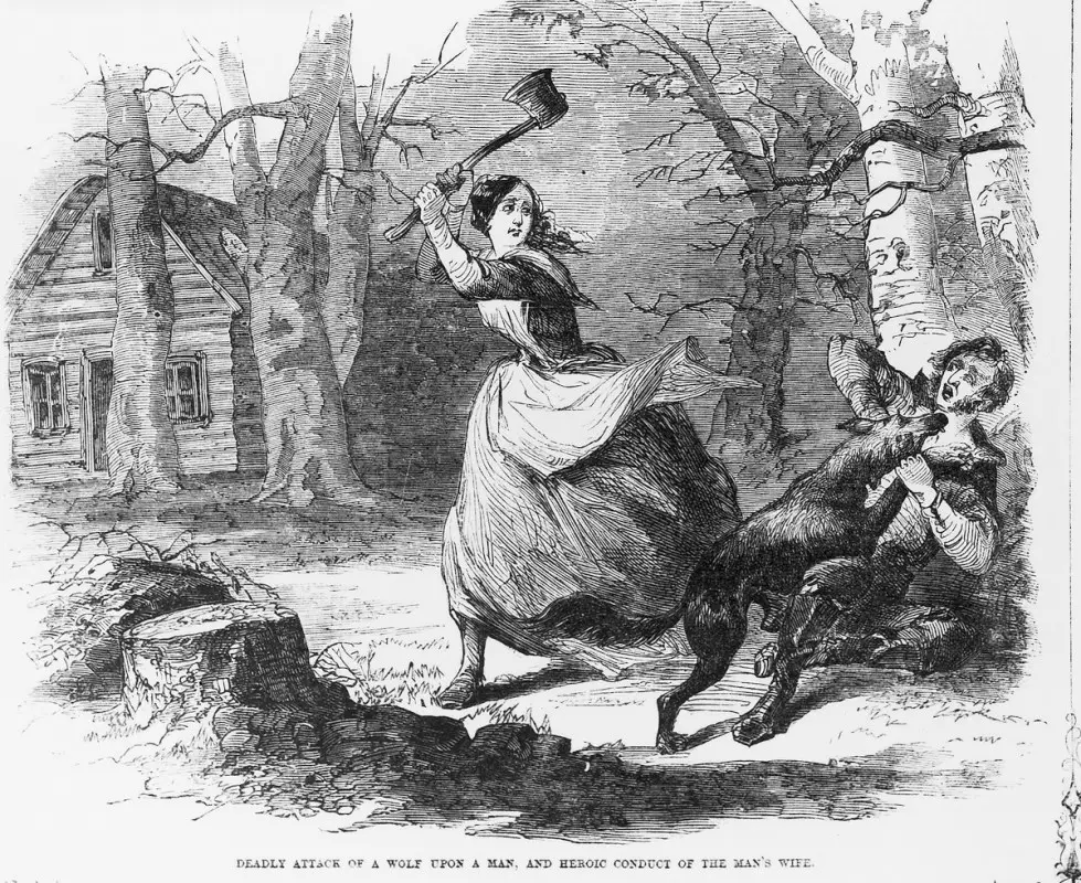 Lexington Wolf Attack 1859