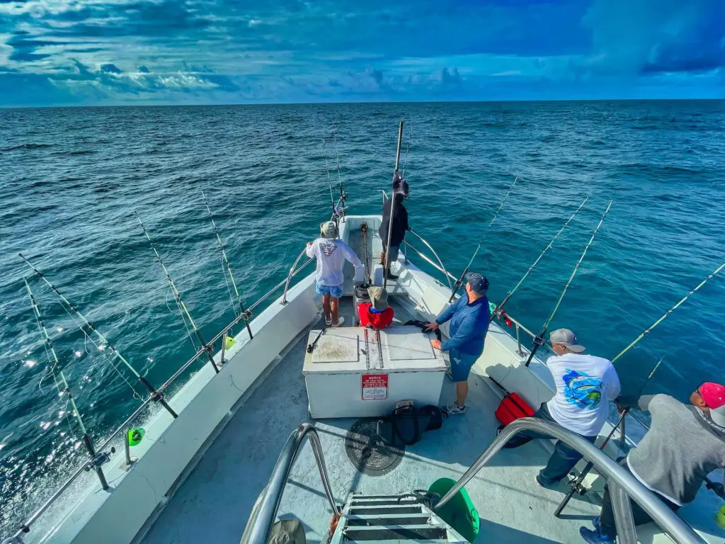 Party Boat Fishing