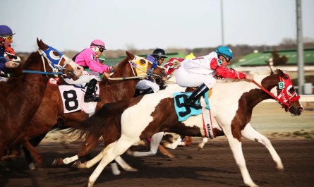 A computer screen showing an online horse racing betting platform in Michigan