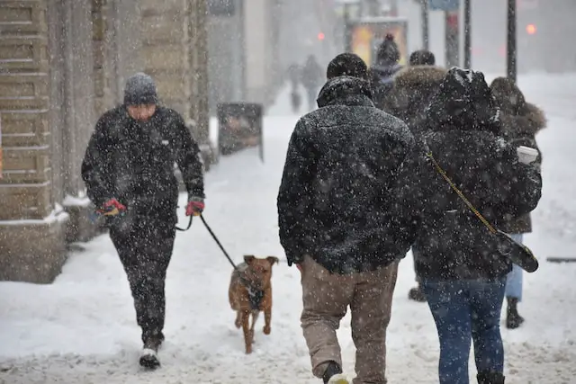 walking do in snow