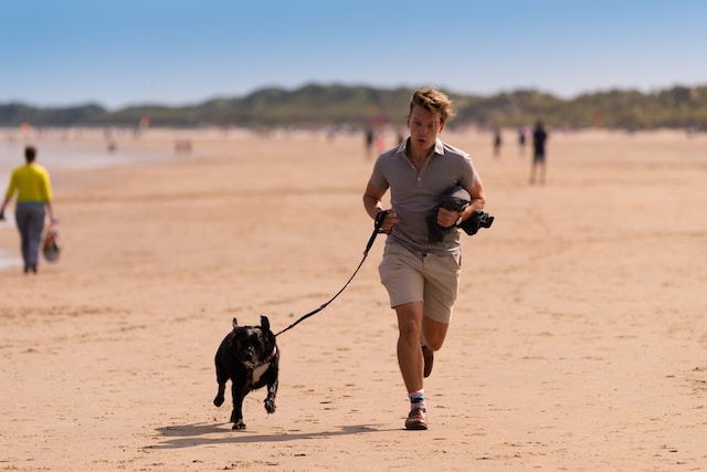 Walking dog on beach