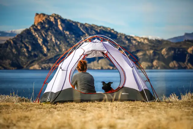 Solo camping with a dog is ideal