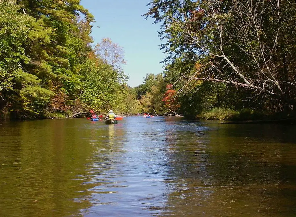 Pere Marquette River in Autumn Manistee National Forest