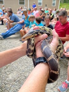 Close-up image of a friendly Michigan Snake at the Huron County Nature Center event