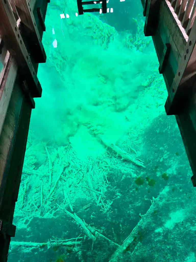 Underwater view 