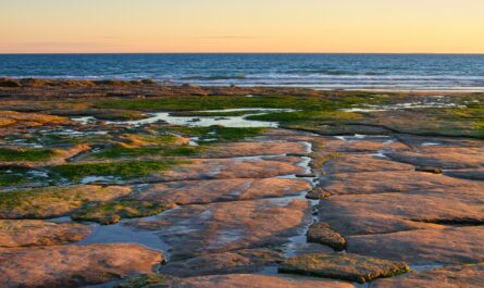 Image of a lake affected by Harmful Algal Blooms