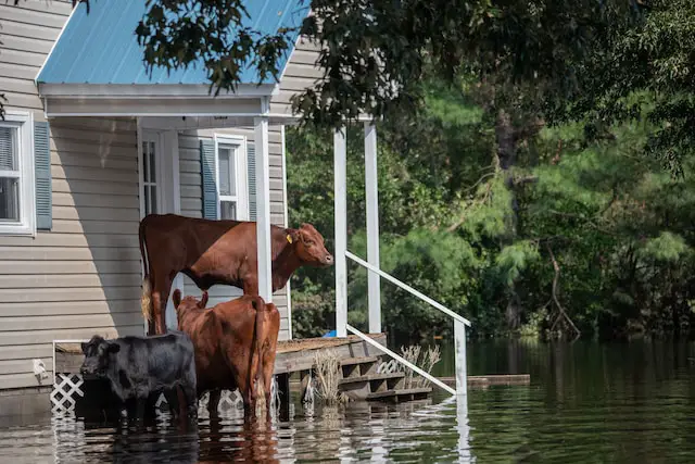 Michigan Water-Related Home Disasters