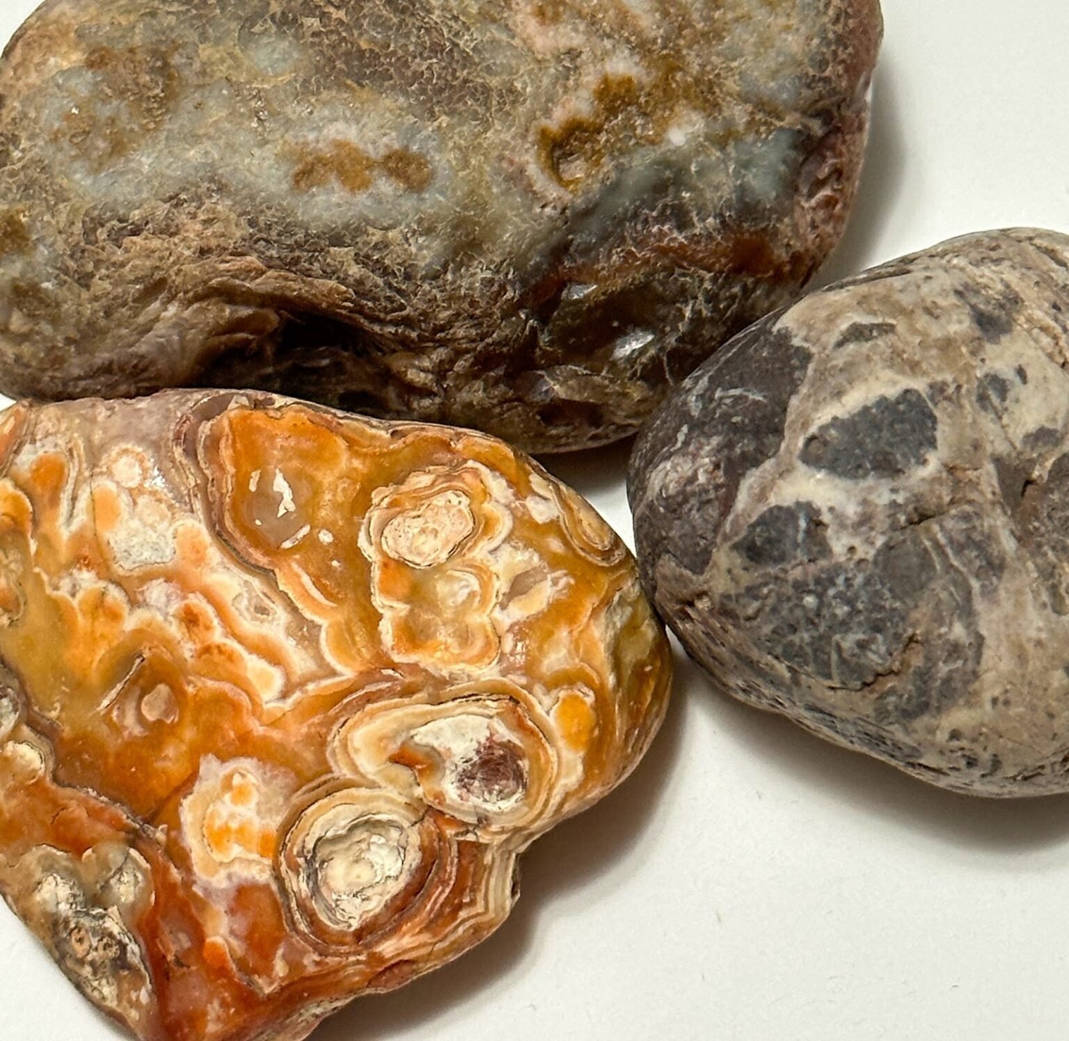 Michigan Rockhounding: The Ultimate Guide To Unearth 5 Hidden Gems