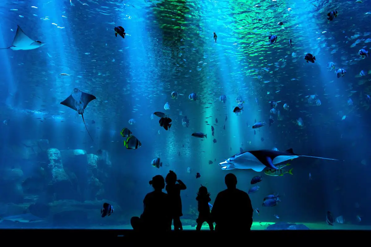 Visitors experiencing the interactive exhibits at the SEA LIFE Michigan Aquarium at Great Lakes Crossing Outlets