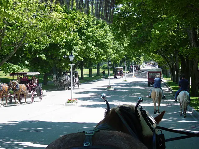 Carriage on Mackinac Island