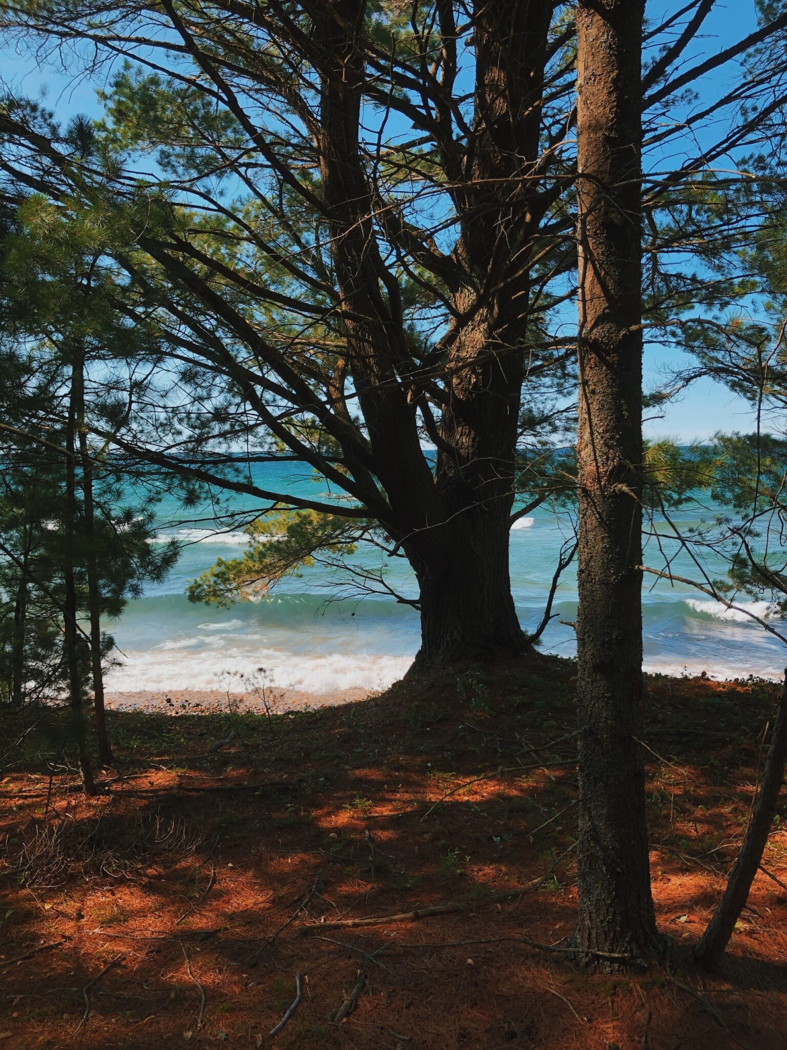 hiawatha-national-forest-hiking-guide-discover-5-must-see-trails