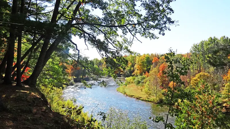 Manistee River Trail 