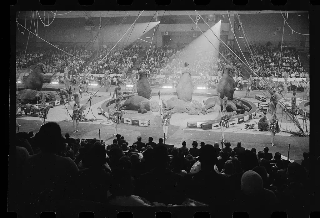 Ringling Brothers Barnum and Bailey Circus - 1964 - Library of Congress