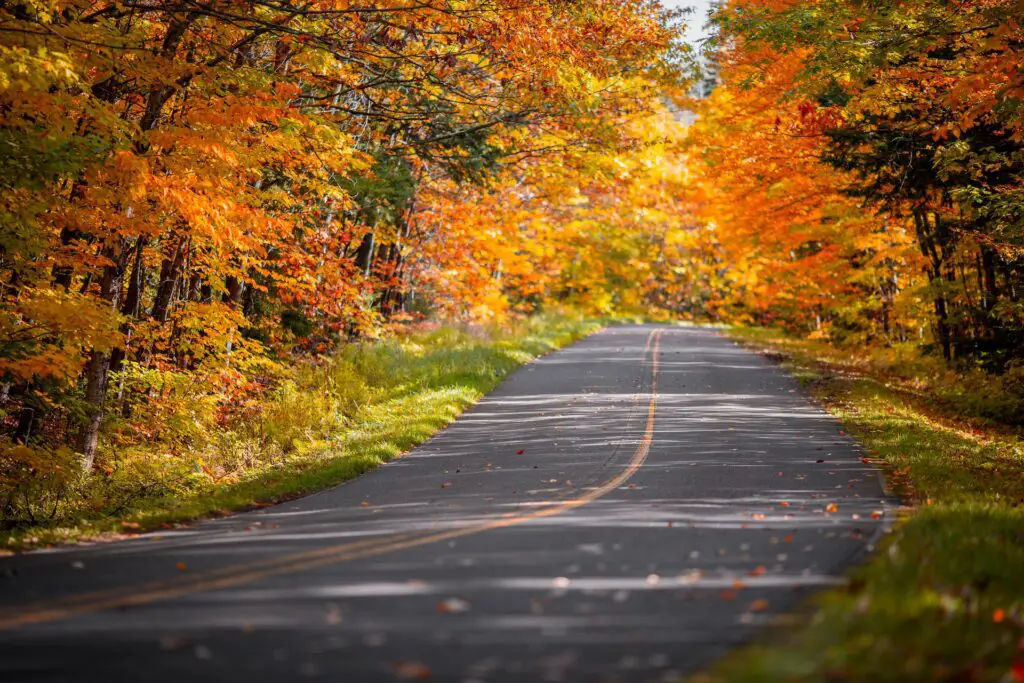 Porcupine Mountains, Carp Lake Township, MI, USA