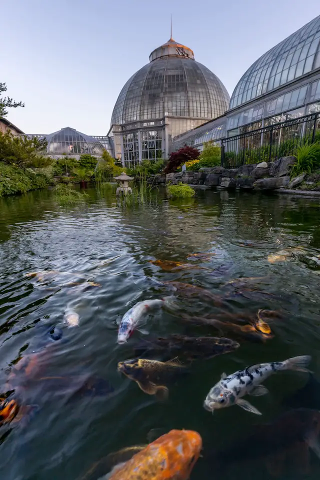 The Belle Isle Conservatory