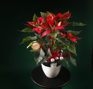 Christmas Bouquets in Detroit and New York.