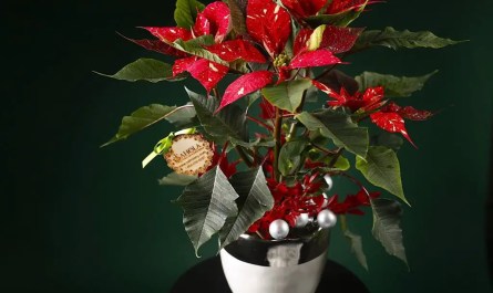 Christmas Bouquets in Detroit and New York.