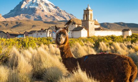 Bolivia