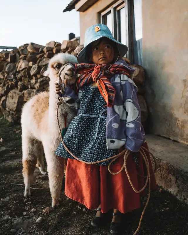 Bolivian girl with baby Llama in Isla del sol