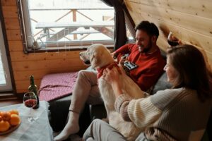 Professional Michigan Airbnb Management Services for Vacation Properties