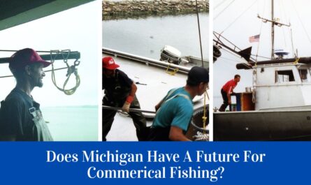 Michigan Commercial Fishing Regulations