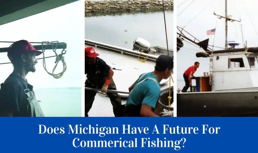 Future Michigan Commerical Fishing Regulations – Two House Bills Have Dueling Visions for Fish and Fortune