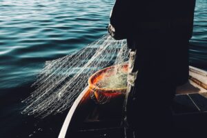 Commerical Netting