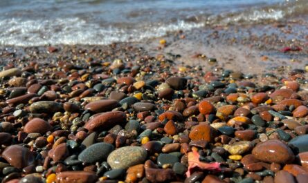 best rock hunting beaches in michigan