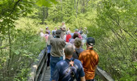 Birding at Huron County Nature Center