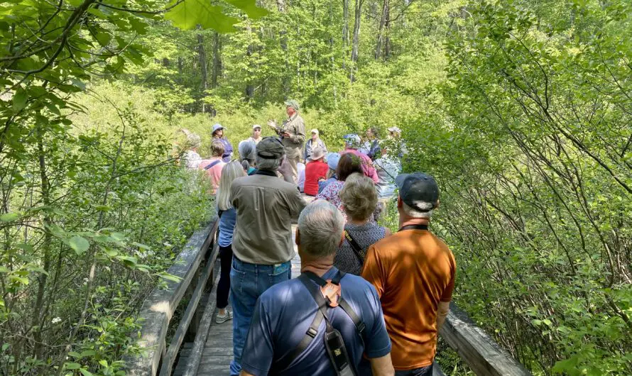 A Morning of Birding at Huron County Nature Center