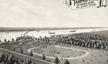 Tashmoo Park Feature Image