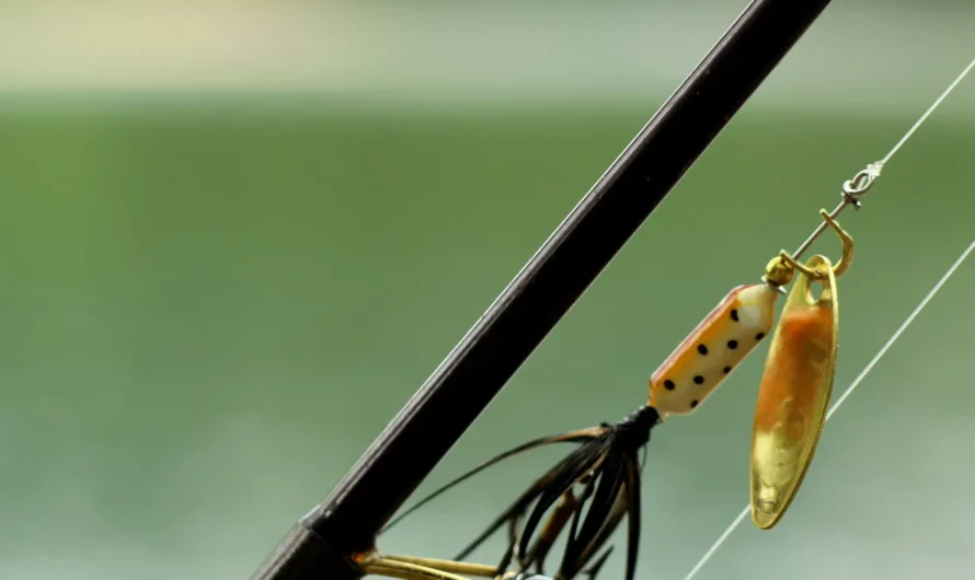 5 Best Fishing Rig Set Ups for Lake and Saltwater