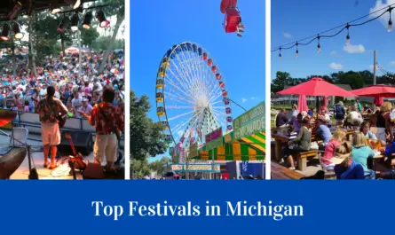 Best Festivals In Michigan 2024