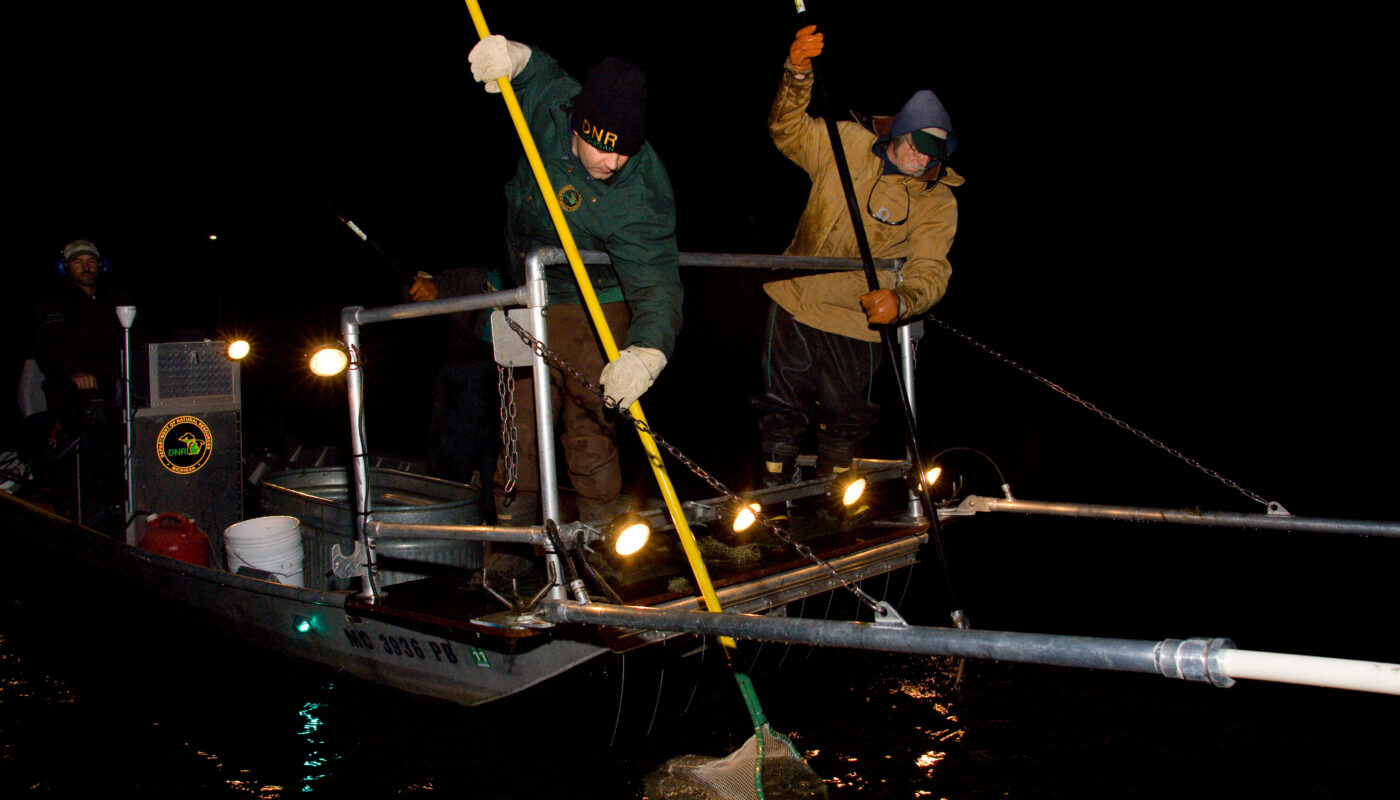 a group of men on a boat with a net