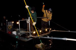 a group of men on a boat with a net