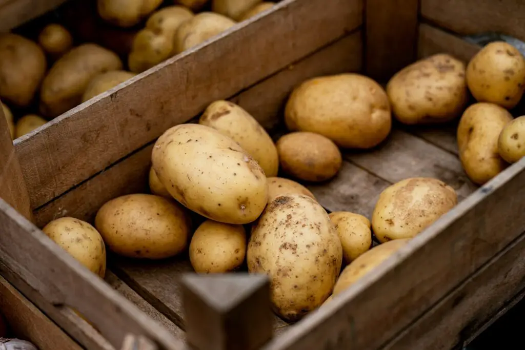 Box of Potatoes
