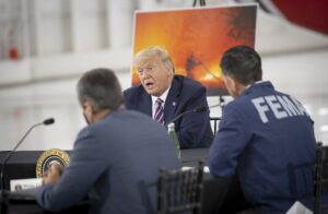 Trump in 2020