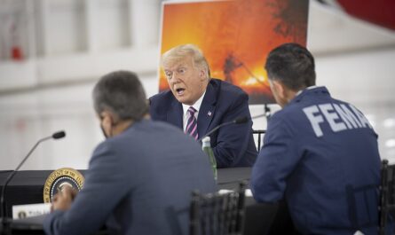 Trump in 2020
