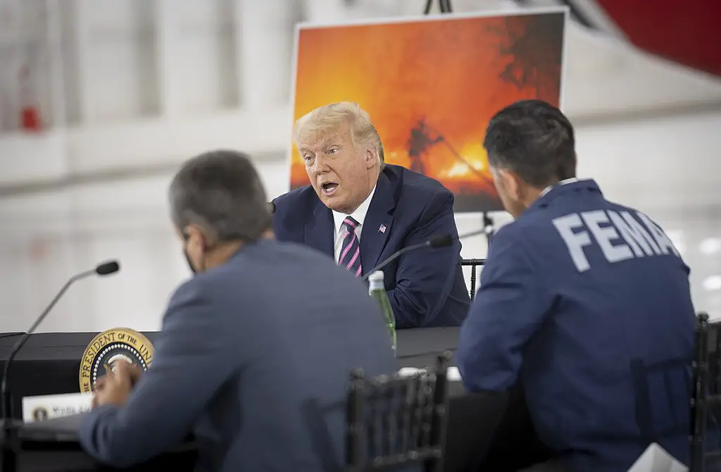 Trump in 2020