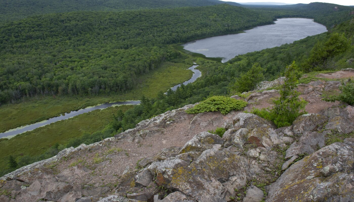 a river flowing through a forest