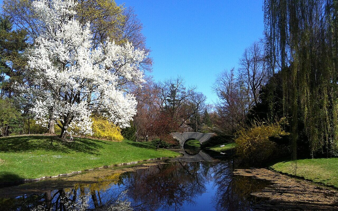 This is a picture of the trees in bloom during the spring at Dow Gardens in Midland, Michigan.