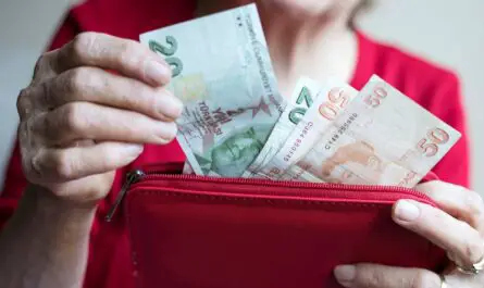 a person holding a red wallet full of money